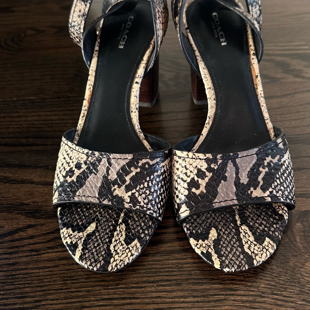 Coach Black and Cream Snakeskin Stiletto Heels